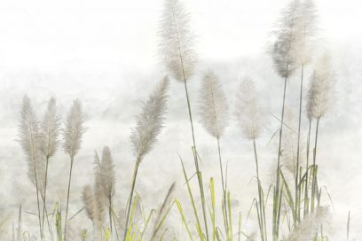Curso de Introducción a la Meditación