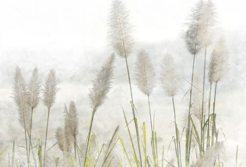 Curso de Introducción a la Meditación